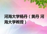 河海大學楊丹（黃丹 河海大學教授）