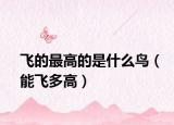 飛的最高的是什么鳥(niǎo)（能飛多高）