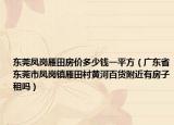 東莞鳳崗雁田房價多少錢一平方（廣東省東莞市鳳崗鎮(zhèn)雁田村黃河百貨附近有房子租嗎）
