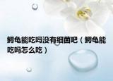 鱷龜能吃嗎沒(méi)有細(xì)菌吧（鱷龜能吃嗎怎么吃）