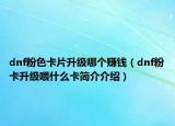 dnf粉色卡片升級(jí)哪個(gè)賺錢（dnf粉卡升級(jí)喂什么卡簡(jiǎn)介介紹）