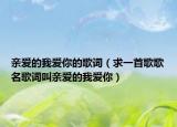 親愛的我愛你的歌詞（求一首歌歌名歌詞叫親愛的我愛你）