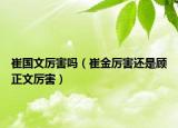 崔國(guó)文厲害嗎（崔金厲害還是顧正文厲害）