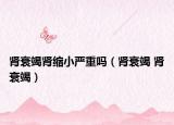 腎衰竭腎縮小嚴(yán)重嗎（腎衰竭 腎衰竭）