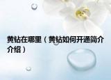 黃鉆在哪里（黃鉆如何開通簡(jiǎn)介介紹）