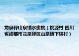 龍泉驛山泉鎮(zhèn)水蜜桃（桃源村 四川省成都市龍泉驛區(qū)山泉鎮(zhèn)下轄村）