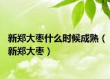 新鄭大棗什么時候成熟（新鄭大棗）