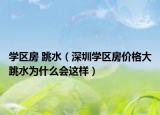 學(xué)區(qū)房 跳水（深圳學(xué)區(qū)房?jī)r(jià)格大跳水為什么會(huì)這樣）