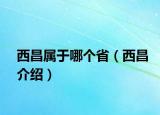 西昌屬于哪個(gè)?。ㄎ鞑榻B）