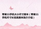 蘋(píng)果11手機(jī)大小尺寸厘米（蘋(píng)果11手機(jī)尺寸長(zhǎng)寬高厘米簡(jiǎn)介介紹）