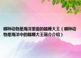 哪種動物是海洋里面的瞌睡大王（哪種動物是海洋中的瞌睡大王簡介介紹）
