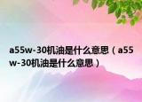a55w-30機油是什么意思（a55w-30機油是什么意思）