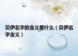 貝伊名字的含義是什么（貝伊名字含義）