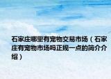 石家莊哪里有寵物交易市場(chǎng)（石家莊有寵物市場(chǎng)嗎正規(guī)一點(diǎn)的簡(jiǎn)介介紹）