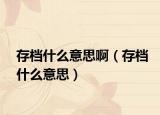 存檔什么意思?。ù鏅n什么意思）