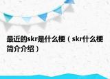 最近的skr是什么梗（skr什么梗簡(jiǎn)介介紹）