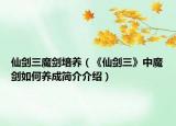 仙劍三魔劍培養(yǎng)（《仙劍三》中魔劍如何養(yǎng)成簡(jiǎn)介介紹）