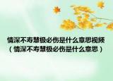 情深不壽慧極必傷是什么意思視頻（情深不壽慧極必傷是什么意思）
