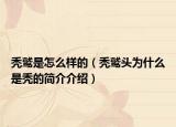 禿鷲是怎么樣的（禿鷲頭為什么是禿的簡介介紹）