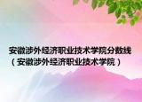 安徽涉外經濟職業(yè)技術學院分數(shù)線（安徽涉外經濟職業(yè)技術學院）