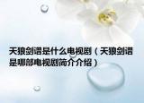 天狼劍譜是什么電視?。ㄌ炖莿ψV是哪部電視劇簡介介紹）