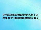 林孝成是哪部電視劇里的人物（林孝成,牛衛(wèi)川是哪部電視劇的人物）