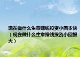 現(xiàn)在做什么生意賺錢投資小回本快（現(xiàn)在做什么生意賺錢投資小回報大）