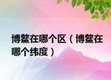 博鰲在哪個(gè)區(qū)（博鰲在哪個(gè)緯度）