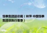 恒泰集團(tuán)副總裁（林萍 中國(guó)恒泰集團(tuán)非執(zhí)行董事）
