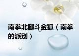 南拳北腿斗金狐（南拳的派別）