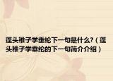 蓬頭稚子學(xué)垂綸下一句是什么?（蓬頭稚子學(xué)垂綸的下一句簡(jiǎn)介介紹）