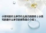 小池寫的什么季節(jié)什么地方的景色（小池寫的是什么季節(jié)的景色簡(jiǎn)介介紹）