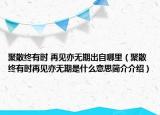 聚散終有時(shí) 再見亦無期出自哪里（聚散終有時(shí)再見亦無期是什么意思簡(jiǎn)介介紹）