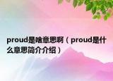 proud是啥意思啊（proud是什么意思簡介介紹）