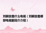 劉解放是什么電視（劉解放是哪部電視劇簡介介紹）