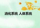 消化系統(tǒng) 人體系統(tǒng)