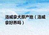洛威拿犬原產(chǎn)地（洛威拿好養(yǎng)嗎）
