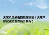 天龍八部武魂技能在哪里（天龍八部武魂怎么弄簡介介紹）