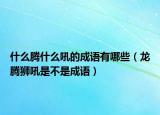 什么騰什么吼的成語(yǔ)有哪些（龍騰獅吼是不是成語(yǔ)）