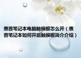 惠普筆記本電腦觸摸板怎么開（惠普筆記本如何開啟觸摸板簡介介紹）