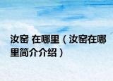 汝窯 在哪里（汝窯在哪里簡介介紹）