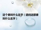 這個番叫什么名字（請問這部番叫什么名字）