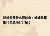 娃娃魚是什么樣的魚（娃娃魚是指什么魚簡(jiǎn)介介紹）