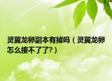 靈翼龍卵副本有掉嗎（靈翼龍卵怎么接不了了?）