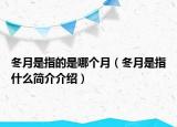 冬月是指的是哪個月（冬月是指什么簡介介紹）