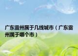 廣東雷州屬于幾線城市（廣東雷州屬于哪個(gè)市）