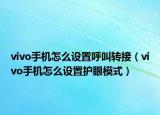 vivo手機怎么設(shè)置呼叫轉(zhuǎn)接（vivo手機怎么設(shè)置護眼模式）