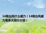 14級(jí)臺(tái)風(fēng)什么威力（14級(jí)臺(tái)風(fēng)威力有多大簡(jiǎn)介介紹）