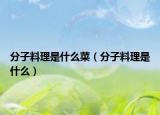 分子料理是什么菜（分子料理是什么）