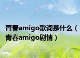 青春amigo歌詞是什么（青春amigo劇情）